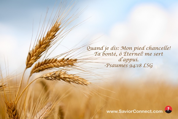 Psaumes 94:18 LSG