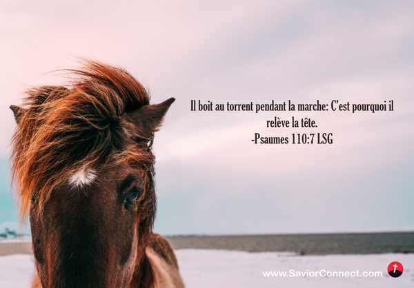 Psaumes 110:7 LSG