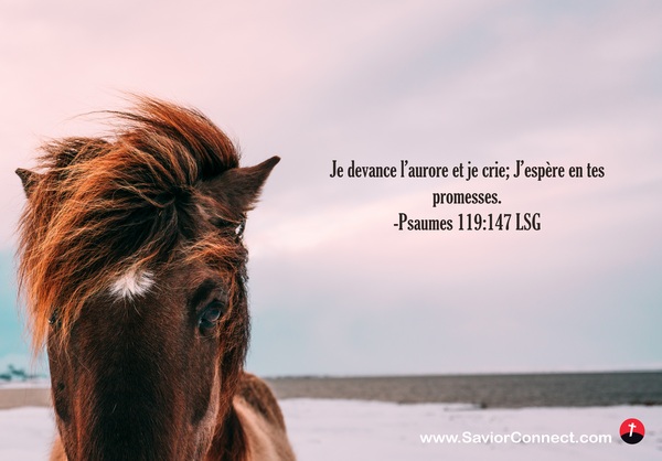 Psaumes 119 147 Lsg