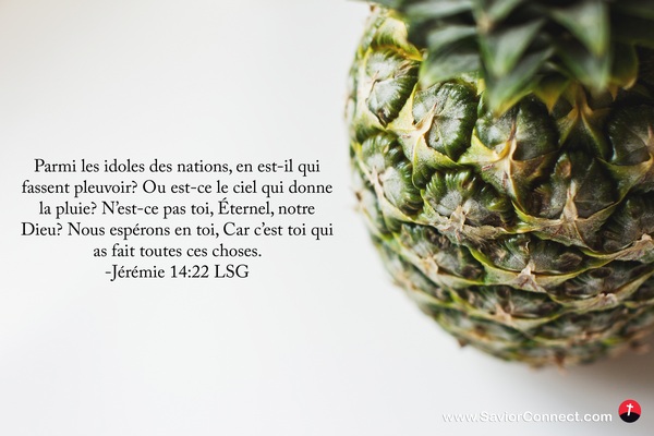 Jérémie 14:22 LSG