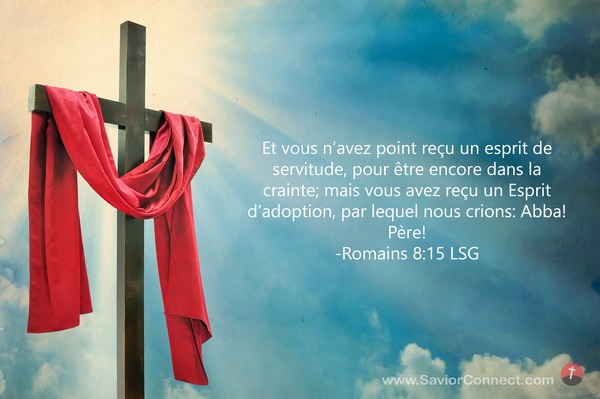 Romains 8:15 LSG