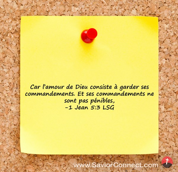 Pin on Citations humour amour
