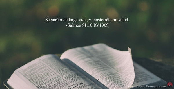 Salmos 91 16 Rv1909 Morando bajo la sombra del omnipotente. salmos 91 16 rv1909