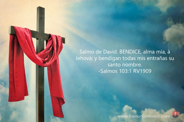 Bendice, Alma Mia, A Jehová Salmos 103:1 KJV Counted Cross Stitch