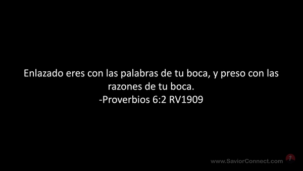 proverbios 6 1 2 explicación