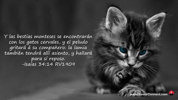 Isaías 34:14 RV1909