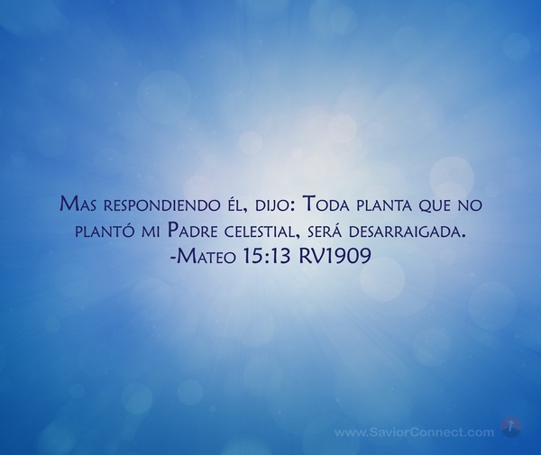 Mateo 15:13 RV1909