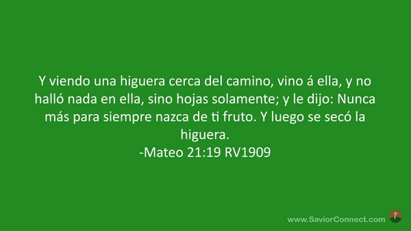 mateo 15 19 al 21