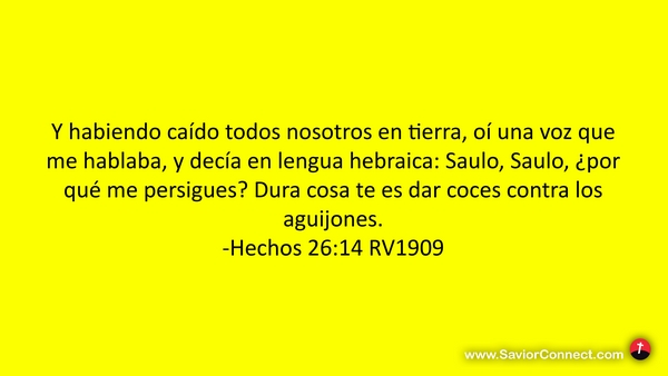 hechos 26 14 18