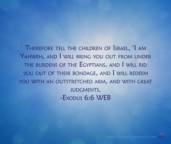 Enduring Word Exodus 2025