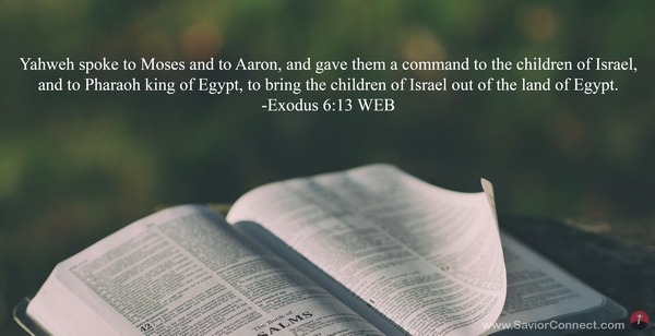 Exodus 6 download cheap