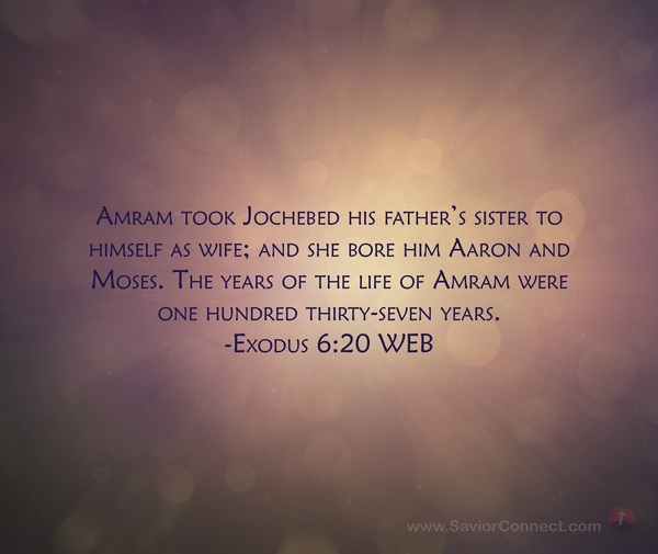 Exodus 6 20 WEB