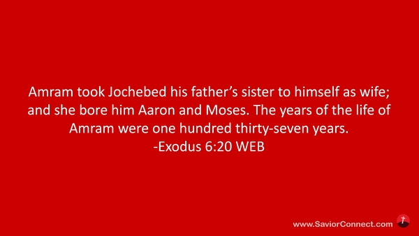 Exodus 6 20 WEB