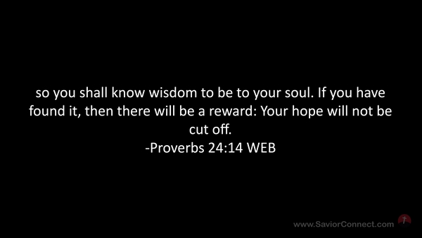 Proverbs 24:14 WEB
