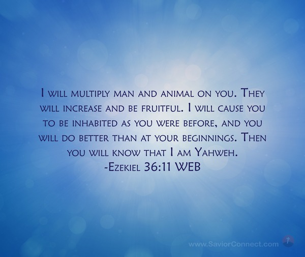 Ezekiel 36:11 WEB