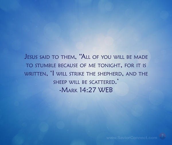 Mark 14:27 WEB