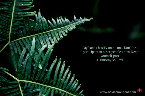 1 Timothy 5:22 Web