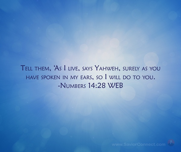 Numbers 14:28 WEB